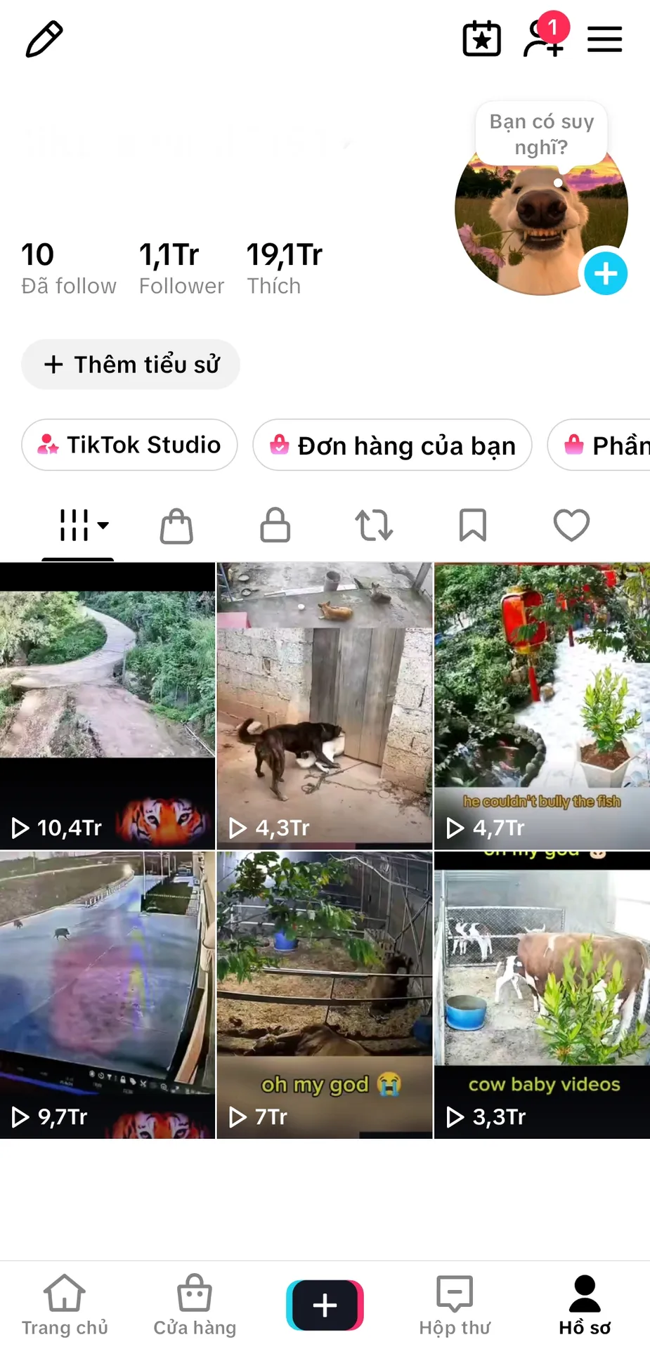 Kênh Us Đời Sống Làm Thương Hiệu 1