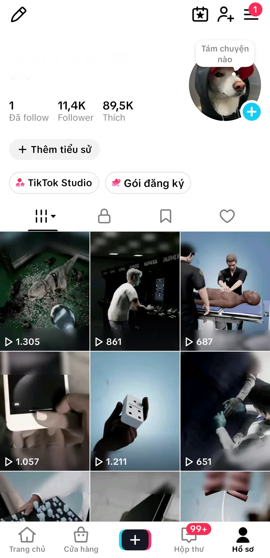 Kênh Ngoại 1