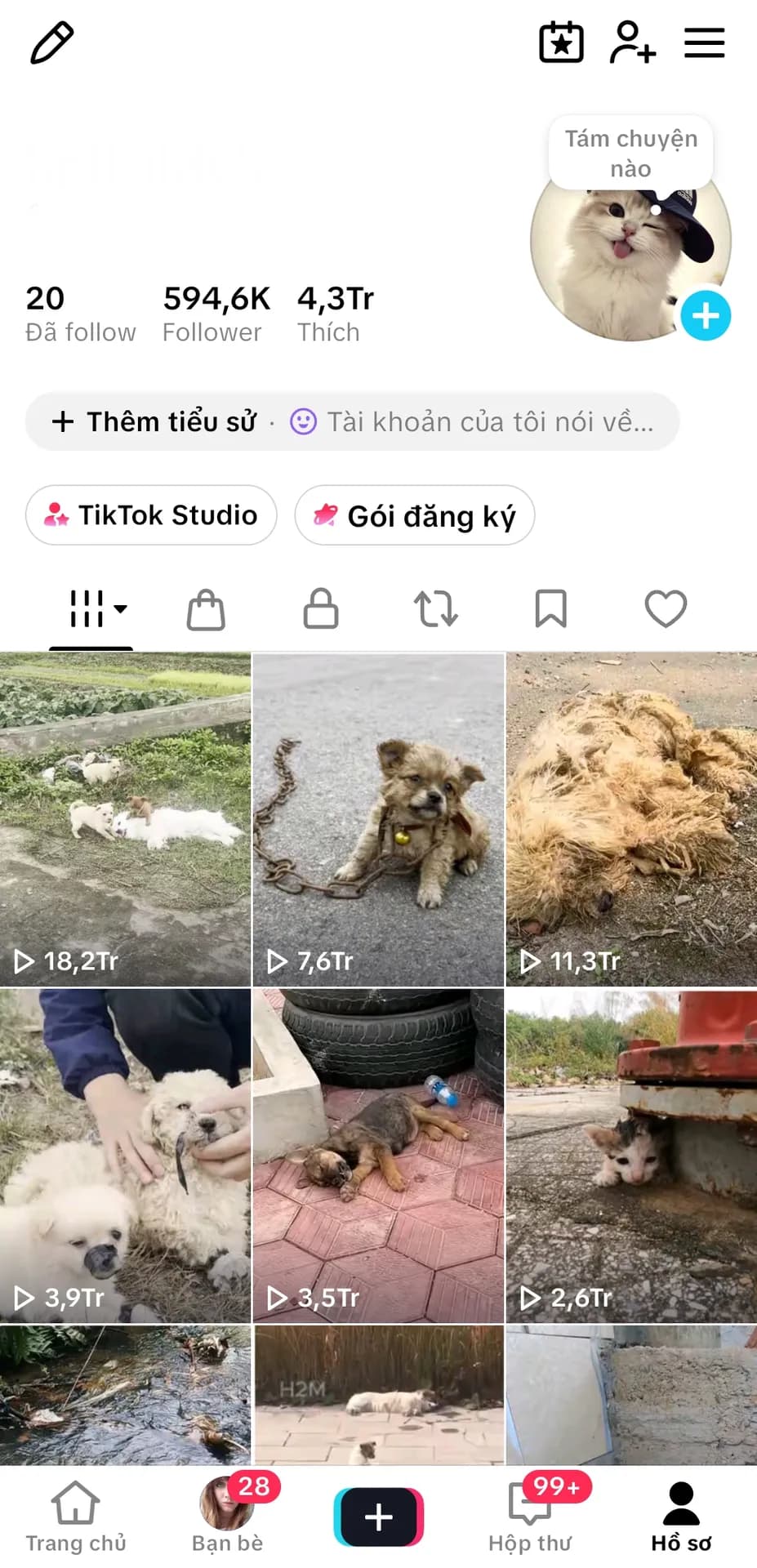 Chủ Đề Động Vật,Kênh Us 1