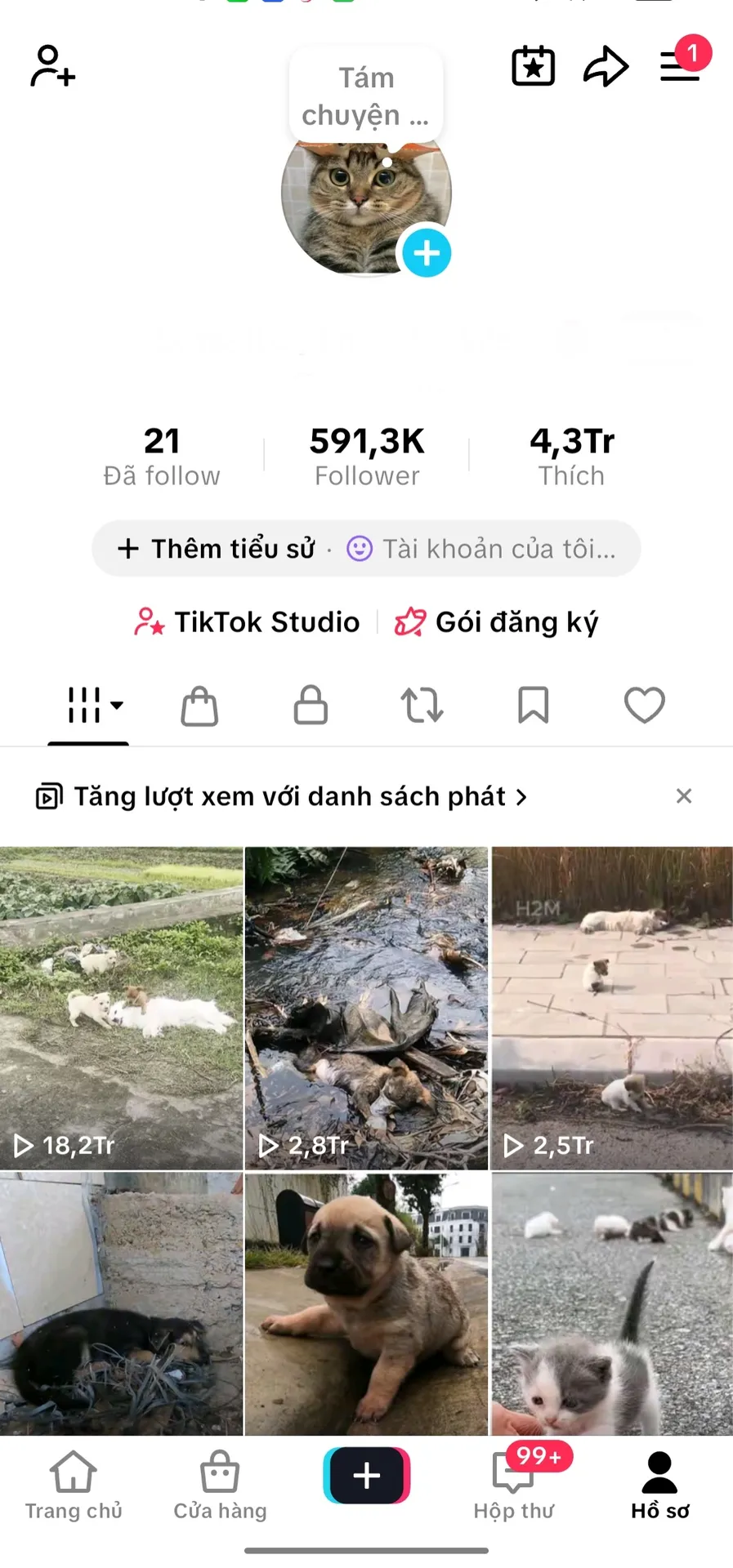 Chủ Đề Động Vật Kênh Us